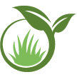 Port Charlotte Lawn Clean Up