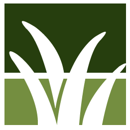 Port Charlotte Lawn Clean Up