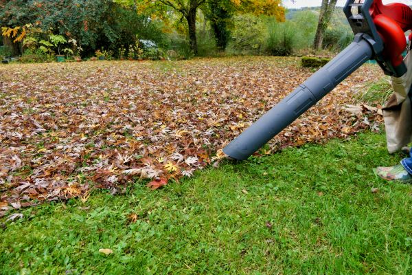 Leaf Vacuuming Service in Port Charlotte