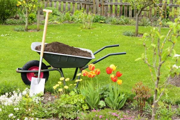 Spring Yard Cleanup in Port Charlotte
