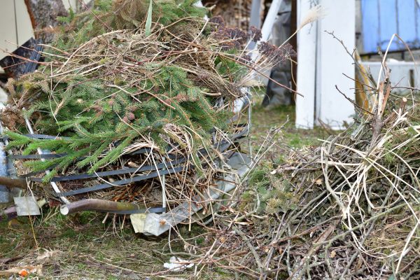 Yard Waste Removal Service in Port Charlotte