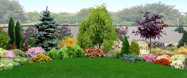 Garden Clearing