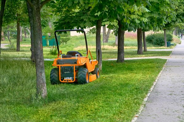 Landscaping Cleanup Service in Port Charlotte