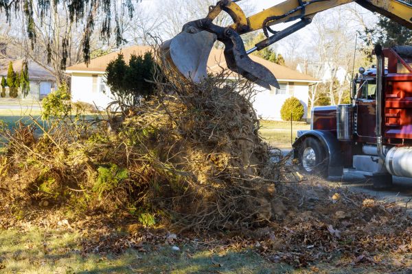 Storm Debris Removal in Port Charlotte