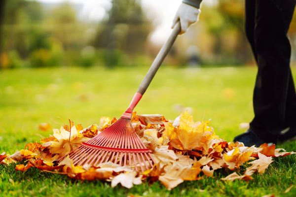 Ditch Leaf Removal in Port Charlotte