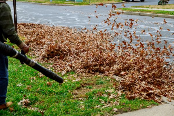 Garden Leaf Removal in Port Charlotte