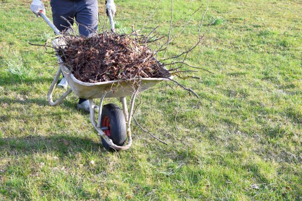 Yard Brush Removal in Port Charlotte