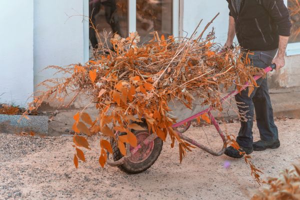 Cost of Lawn Debris Cleanup in Port Charlotte