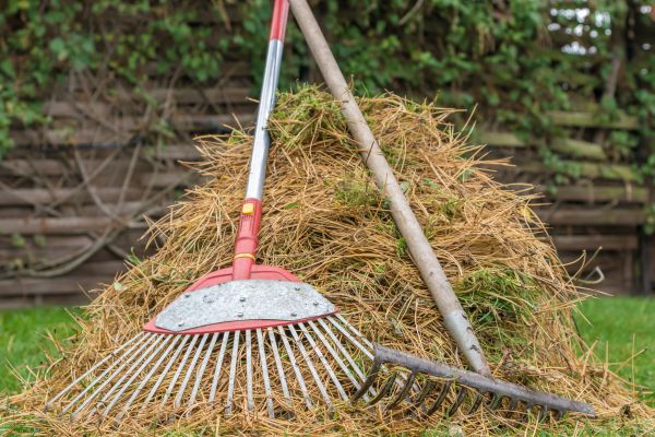 Pine Straw Clearing in Port Charlotte