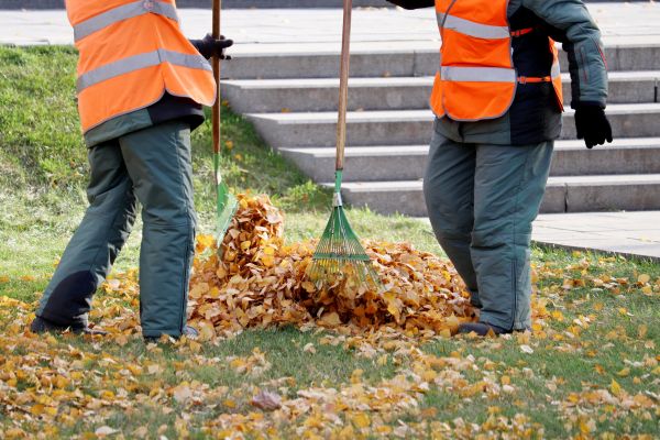 Leaf Hauling Service in Port Charlotte