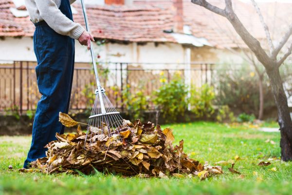 Spring Lawn Cleanup in Port Charlotte