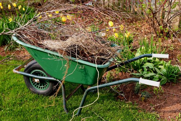 Lawn Waste Removal in Port Charlotte