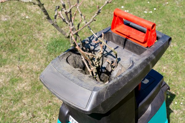 Cost of Brush Cleanup Service in Port Charlotte