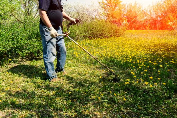Yard Clearing Service in Port Charlotte