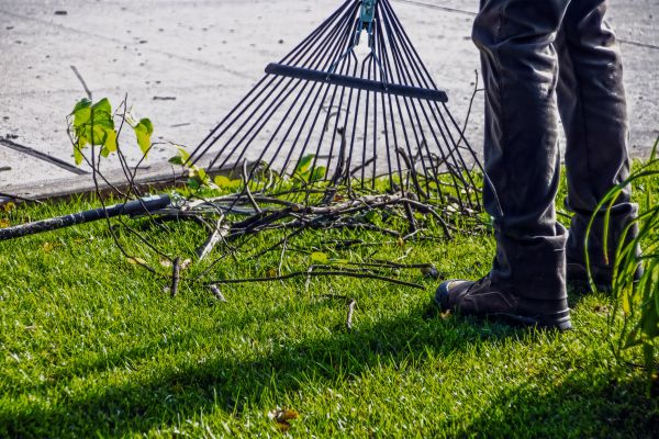 Yard Debris Cleanup in Port Charlotte