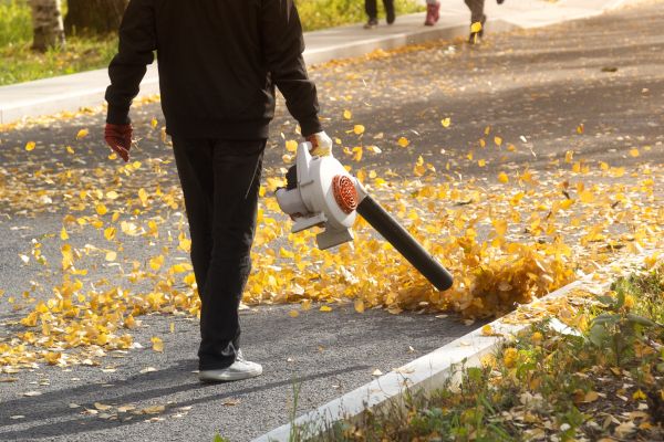 Commercial Leaf Removal in Port Charlotte