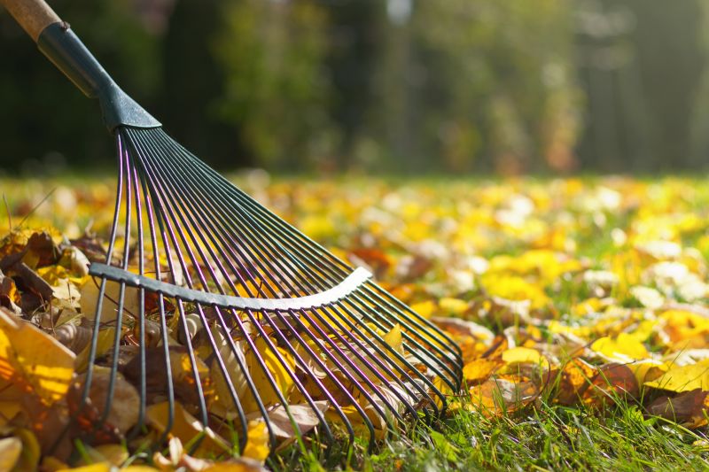 Fall Yard Maintenance Tools